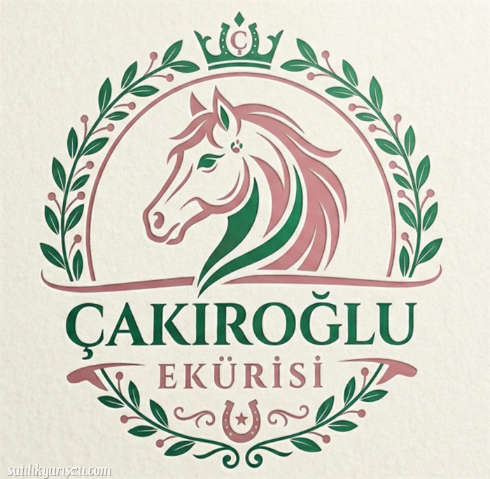 satilikyarisati