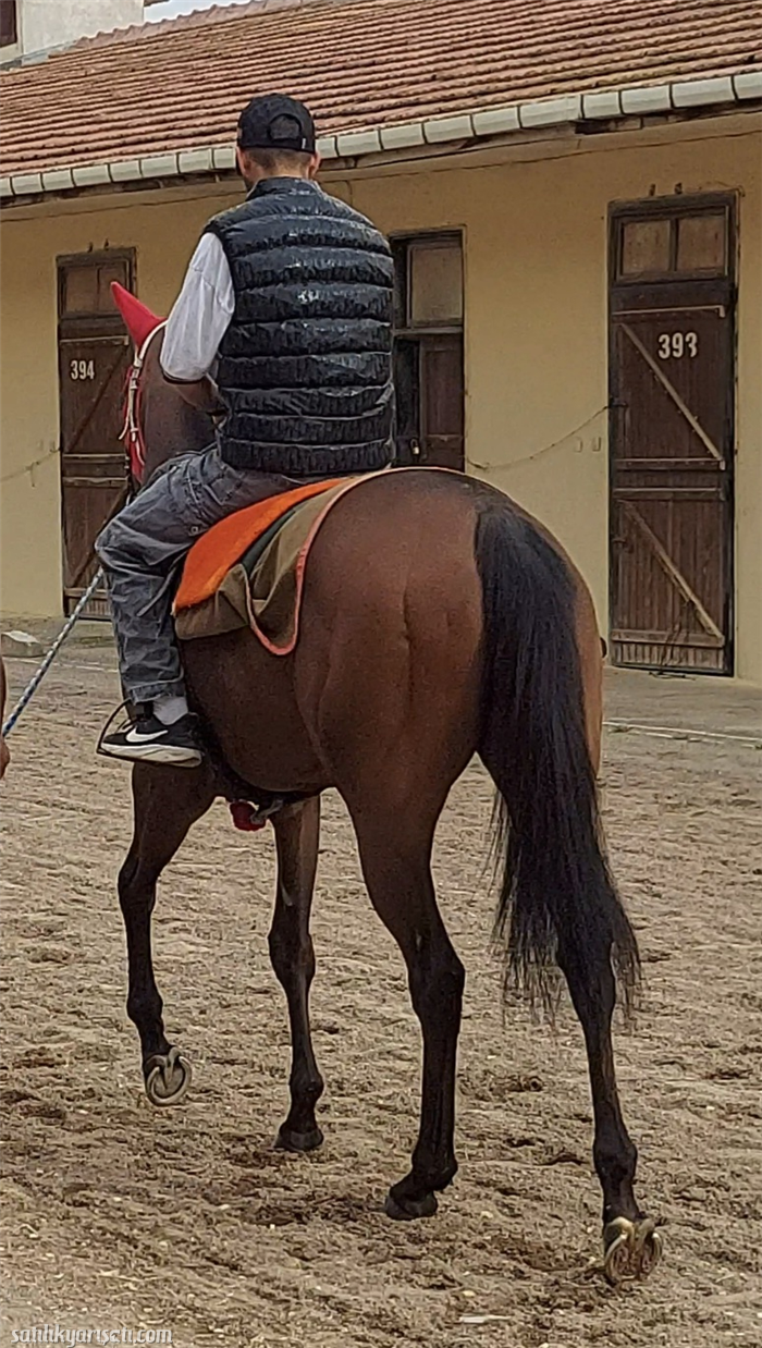 satilikyarisati