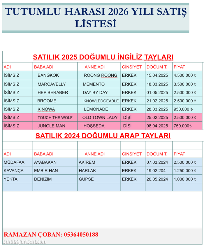 satilikyarisati