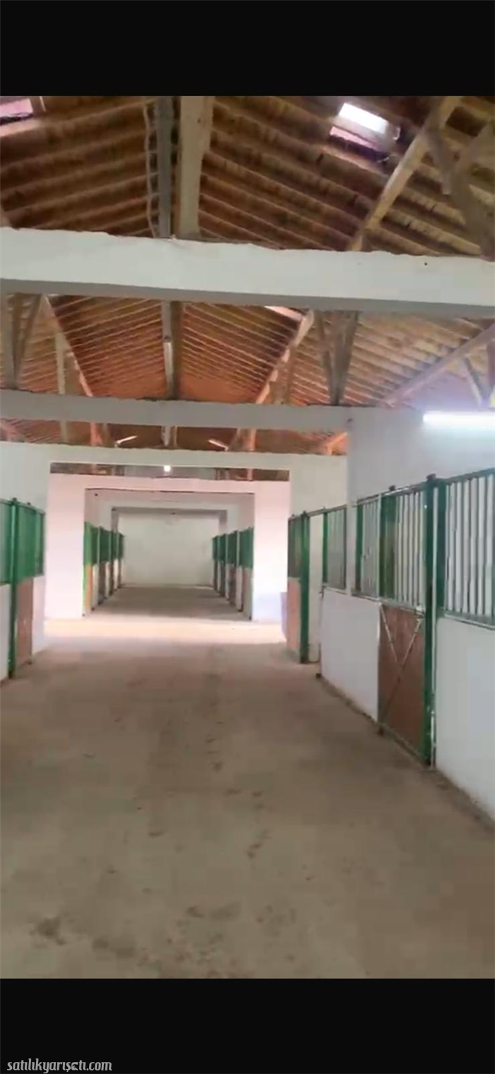 satilikyarisati