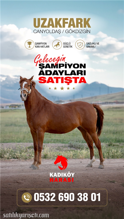 satilikyarisati