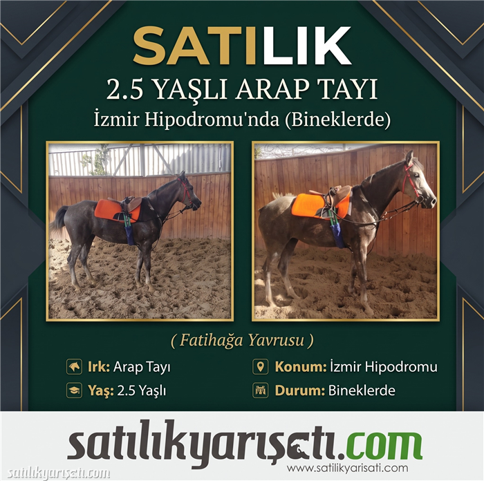 satilikyarisati