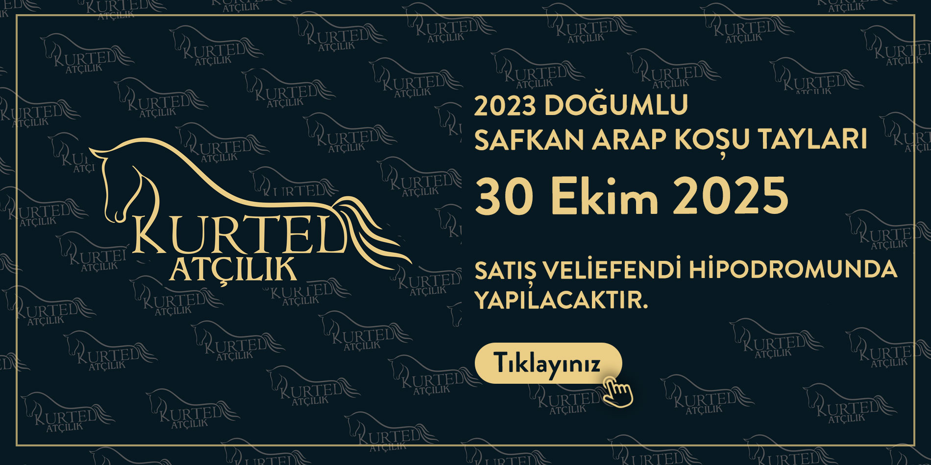 Kurtel Harasi