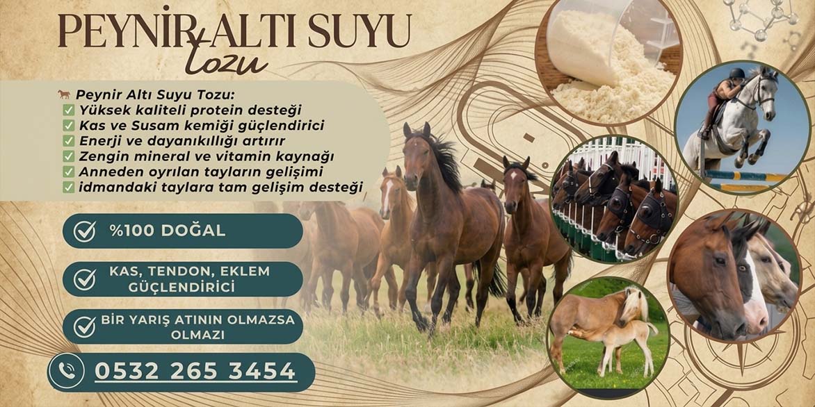 Satılık yarış atları
