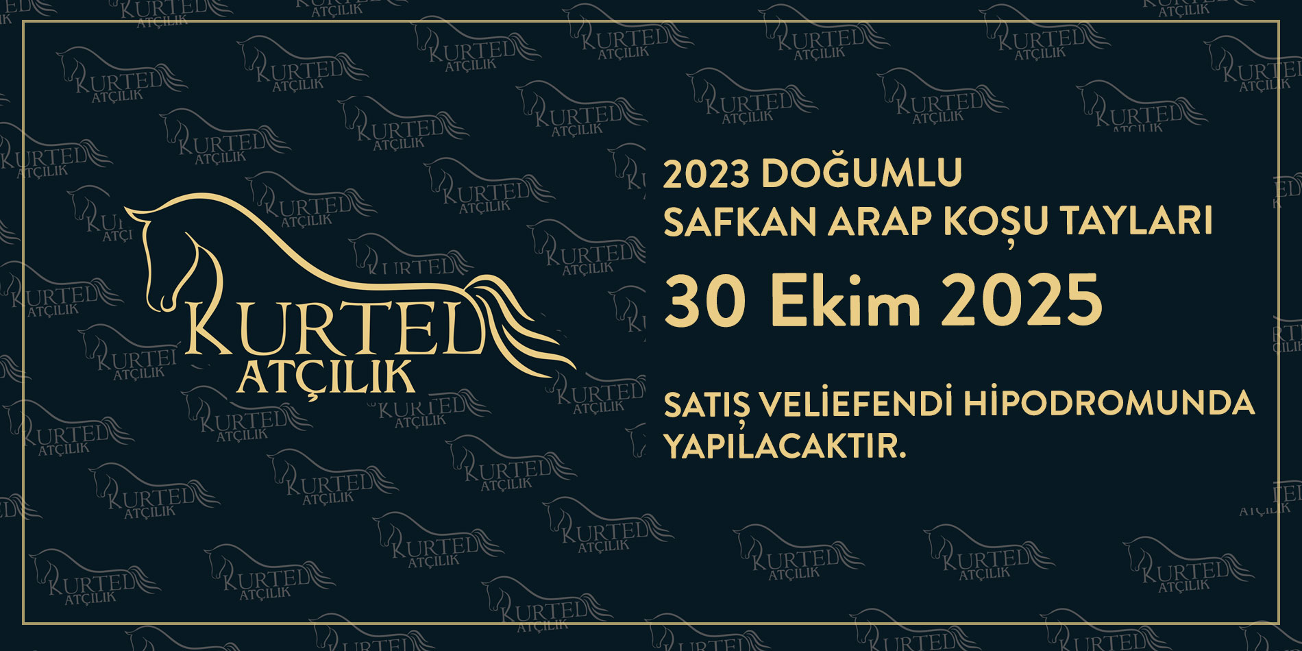 Kurtel Harasi
