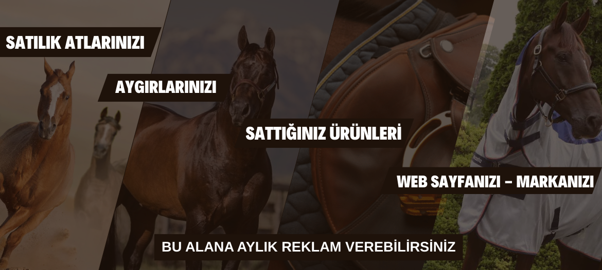 Satılık yarış atları